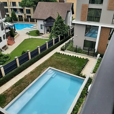 Deluxe 5 *